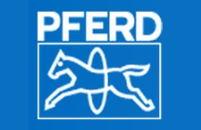 PFERD-RÜGGEBERG, S.A