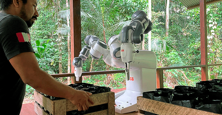 El robot más remoto del mundo automatiza el proyecto de reforestación del Amazonas