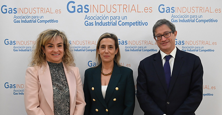 La fuerte destrucción de la demanda industrial de gas preocupa a las empresas españolas